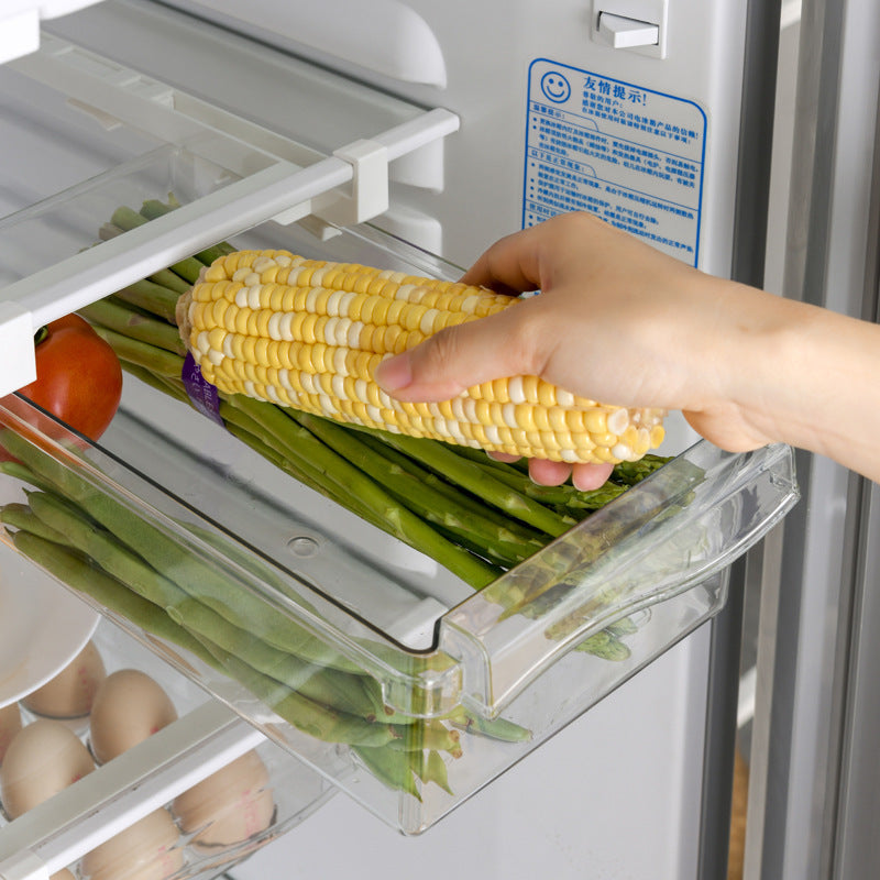 refrigerator organizer bin